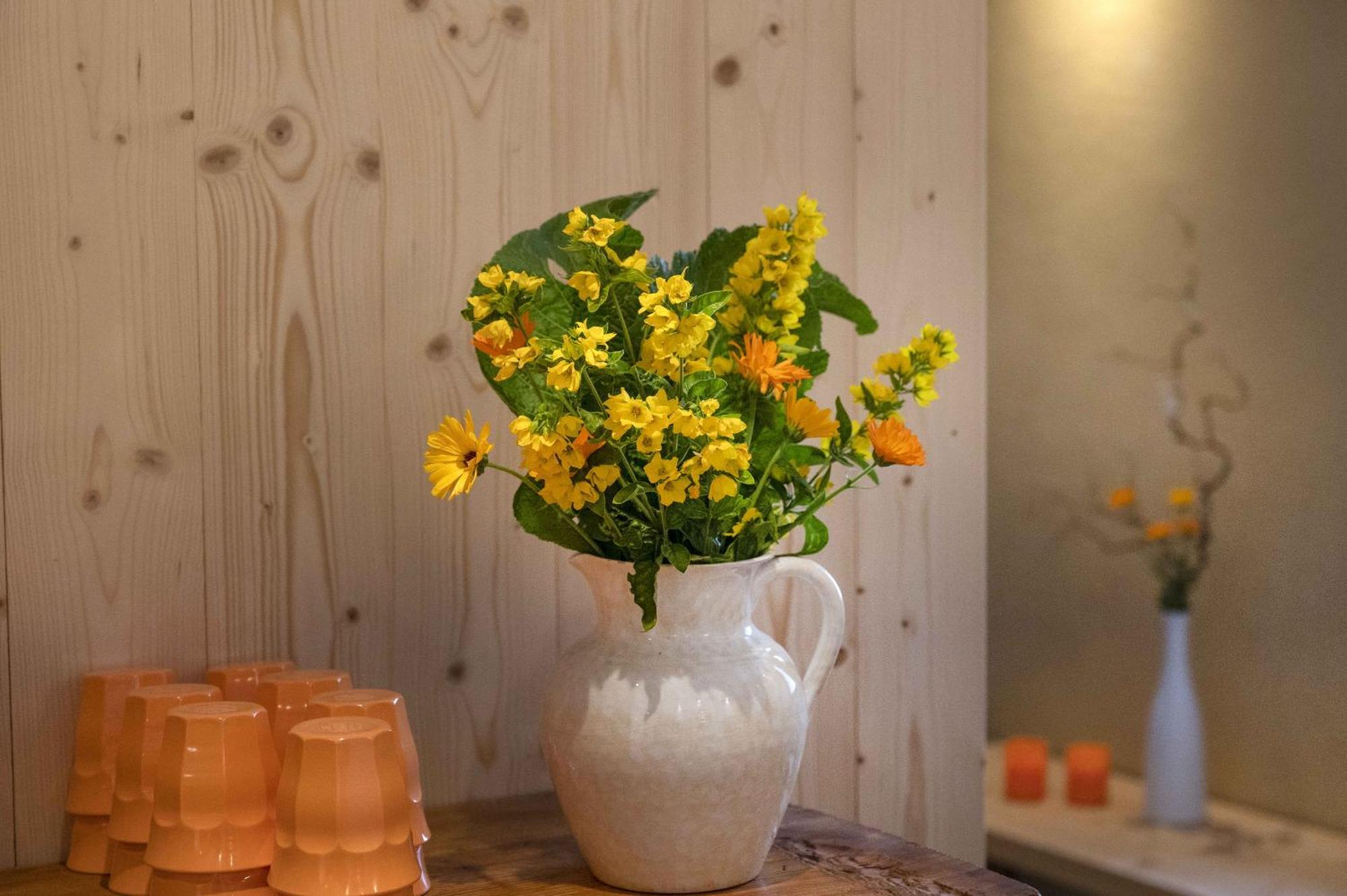 Seilers Vintage Hotel & Spa Кандерстег Екстериор снимка